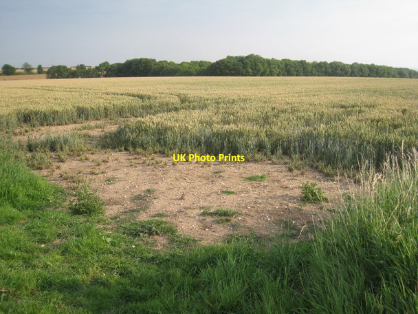Photo 6"x4" View towards Wire Platt Plantation Elsham c2011