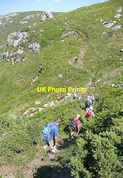 Photo 6"x4" Along Trowan Cliff St Ives\/SW5140 c2011