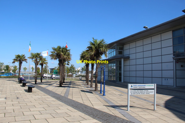 Photo 6"x4" Palm Trees, Dun Laoghaire, Ireland Glasthule c2011