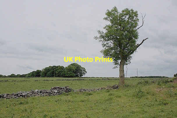 Photo 6"x4" Middleton Common Fields Middleton\/SK1963 c2011
