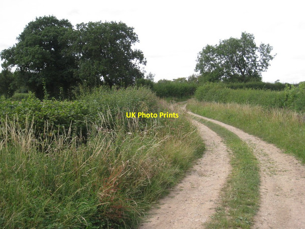 Photo 6"x4" Dunstone Road North Leverton with Habblesthorpe c2011 P1
