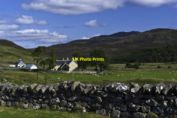 Photo 6"x4" Forest Farm near Croick Croick\/NH4591 c2011