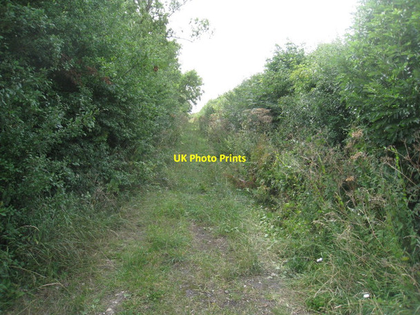 Photo 6"x4" Hollowgate Road North Leverton with Habblesthorpe c2011