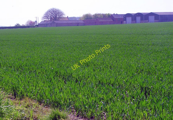 Photo 6"x4" Little Wauldby Farm West Ella c2008