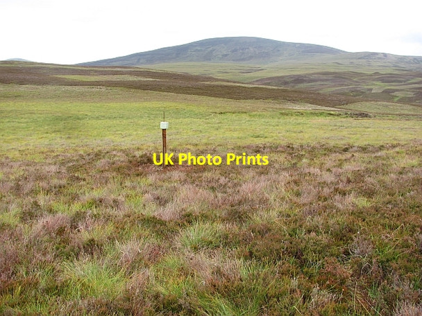 Photo 6"x4" Salt lick, Suisgill Estate Creag Druim nan Rath c2011