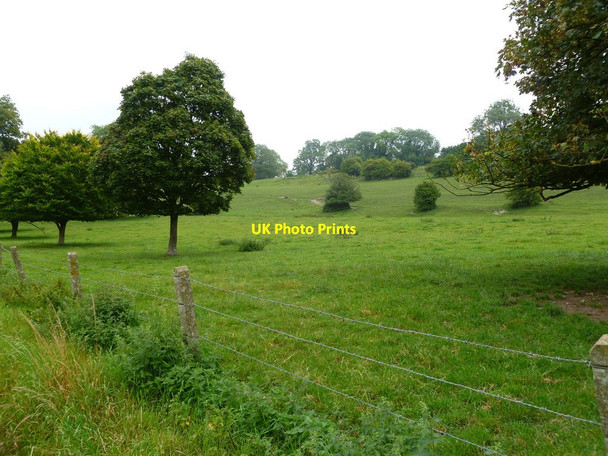 Photo 6"x4" Tarrant Monkton, The Cliff Hogstock c2011