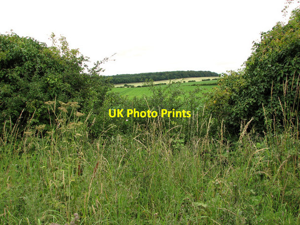 Photo 6"x4" View towards Scarboro' Wood, Burnham Thorpe Burnham Thorpe c2011