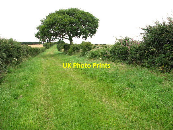 Photo 6"x4" London Lane past Leicester Square Farm Southgate\/TF8634 c2011