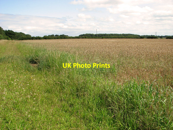 Photo 6"x4" Fields by Holkham Park New Holkham c2011