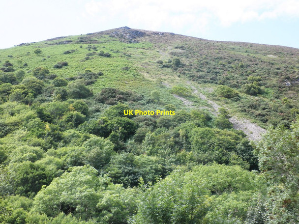 Photo 6"x4" Hillside, above the Heddon Valley Martinhoe c2011