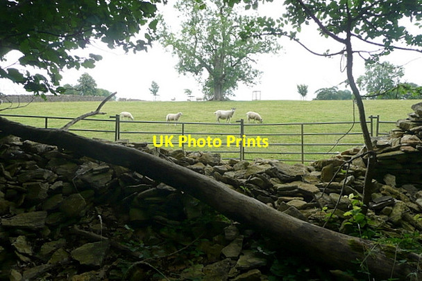 Photo 6"x4" Barnsley Park Barnsley\/SP0705 c2011