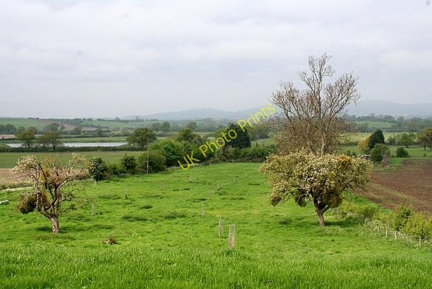 Photo 6"x4" Old Orchard, Hill Court Buckbury c2008