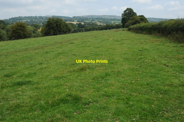 Photo 6"x4" Farmland near Caynham Caynham\/SO5473 c2011