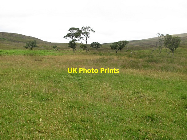 Photo 6"x4" Haugh beside the Tuarie Burn Cnoc Preas an Daimh c2011