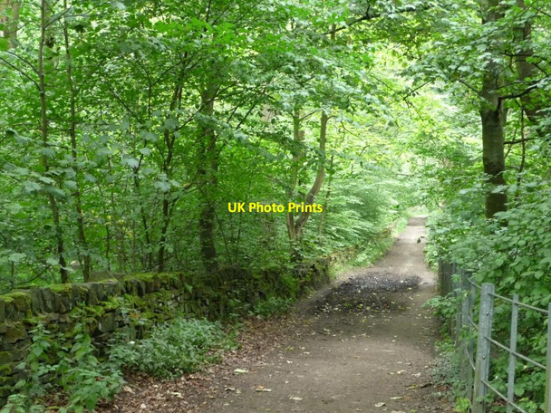Photo 6"x4" High Fernley Road, Judy Woods New Road Side\/SE1527 c2011