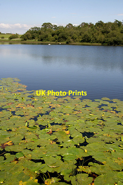 Photo 6"x4" Snipe Loch Joppa\/NS4019 c2011 P1