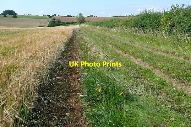 Photo 6"x4" Furzey Lane Arlington\/SP1006 c2011