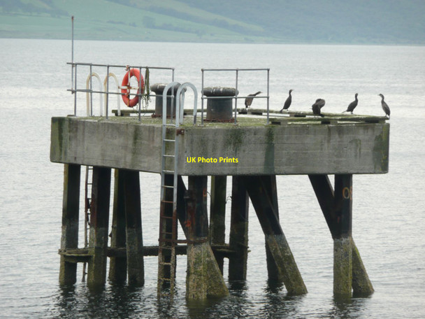 Photo 6"x4" Cormorants on a mooring point Inverchaolain c2011