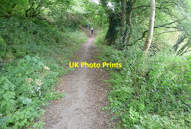 Photo 6"x4" Bridleway from Calcot to Coln Rogers Coln Rogers c2011