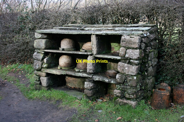 Photo 6"x4" Bee shelter, St Fagans Museum Michaelston-super-Ely c2009