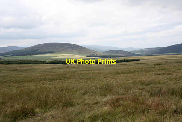 Photo 6"x4" Blackward Moss Chapletown c2011