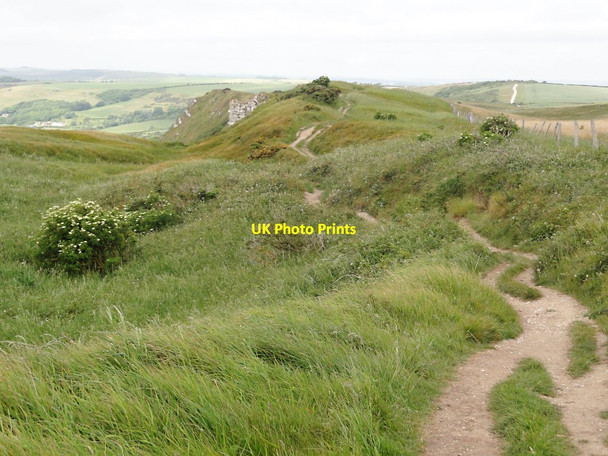 Photo 6"x4" The Coast Path above King Rock Chaldon Herring or East Chaldon c2011