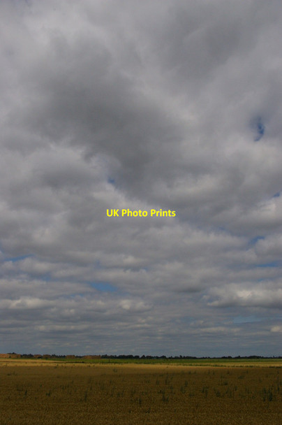 Photo 6"x4" Blackmoor Fen Sutton Gault c2011