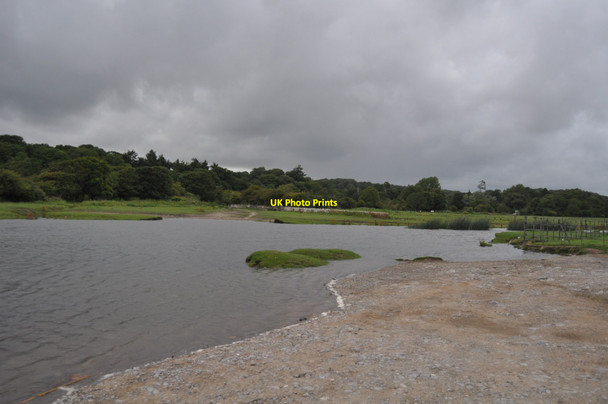 Photo 6"x4" River Ewenny Merthyr Mawr c2011