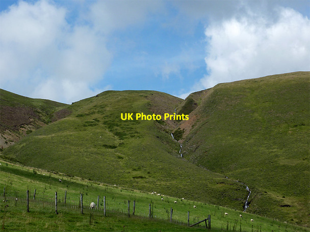 Photo 6"x4" Hill grazing in Dyffryn Castell, Ceredigion Llys Arthur c2011