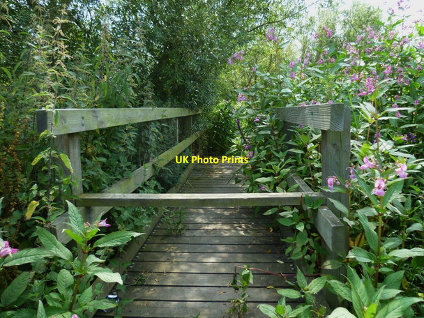 Photo 6"x4" Footbridge over channel by the Arun near Houghton Farm (1) Houghton\/TQ0111 c2011