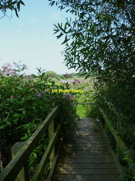 Photo 6"x4" Footbridge over channel by the Arun near Houghton Farm (2) Houghton\/TQ0111 c2011