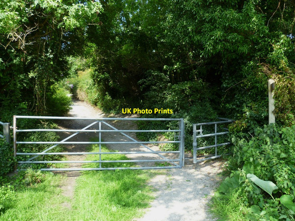 Photo 6"x4" Gate on Monarch's Way near Houghton Farm Houghton\/TQ0111 c2011