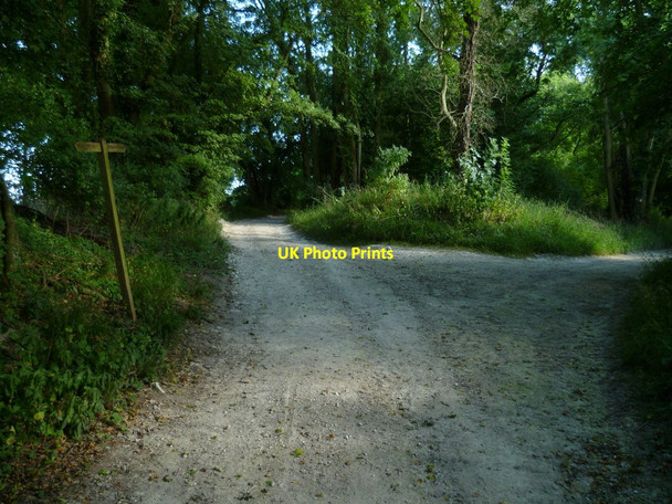 Photo 6"x4" Bridleway and farm track diverge on Bury Hill Bury\/TQ0113 c2011