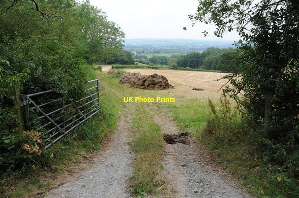 Photo 6"x4" Field entrance Brookrow c2011