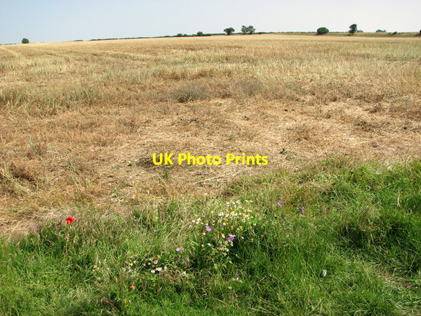 Photo 6"x4" Wild flowers on a field's edge, Little Walsingham Great Walsingham c2011
