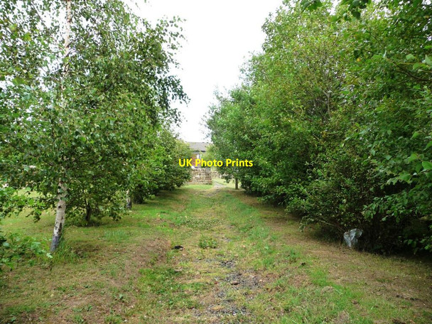 Photo 6"x4" Footpath approaching Midgley Lodge Motel Midgley\/SE2714 c2011