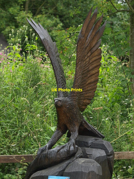 Photo 6"x4" Osprey Carving Lyndon c2011
