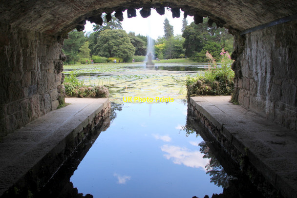 Photo 6"x4" Water Garden, Powerscourt, County Wicklow, Ireland Enniskerry c2011