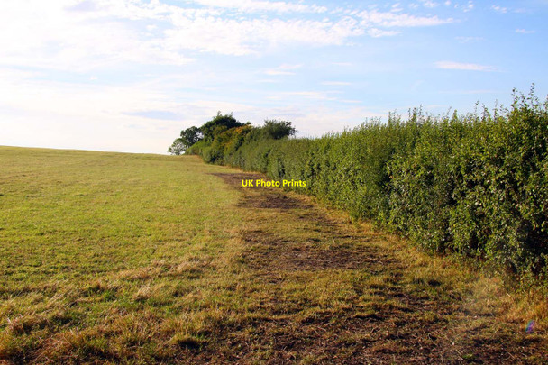 Photo 6"x4" Hedgerow by the field Draycot c2011