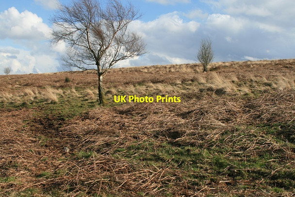 Photo 6"x4" Two Tree Mendip Bourne\/ST4859 c2008