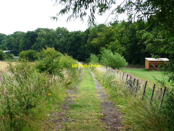 Photo 6"x4" Footpath to Crofton Walton\/SE3517 c2011