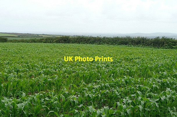 Photo 6"x4" Farmland at Lower Chellew Castle Gate c2011