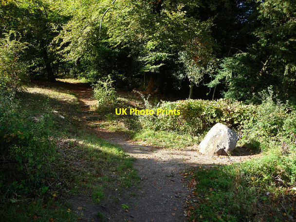 Photo 6"x4" Stone at the top of the Zig Zag path Selborne c2010