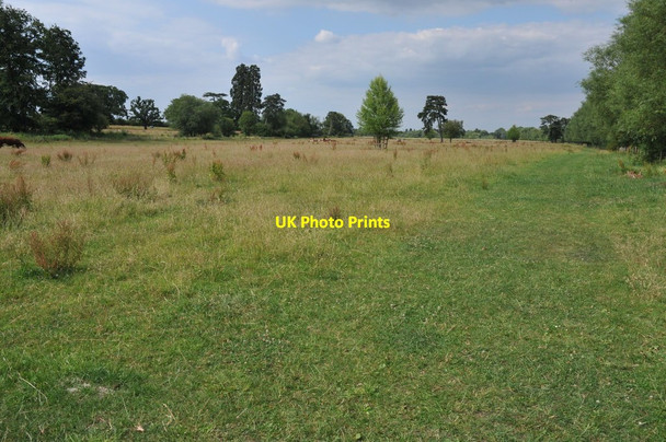 Photo 6"x4" Wallingford Castle Meadows Wallingford c2011