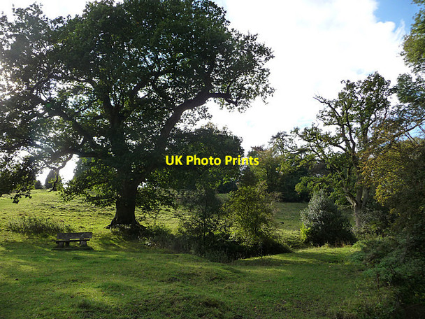 Photo 6"x4" Selborne Hampshire Selborne c2010