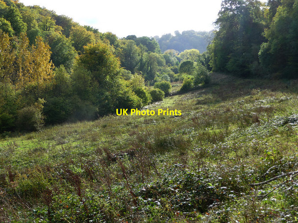 Photo 6"x4" Valley of the Oakhanger Stream Selborne c2010