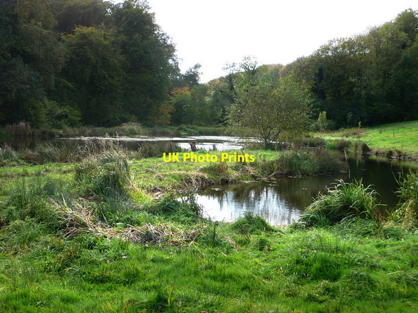 Photo 6"x4" Ponds northeast of Selborne Selborne c2010