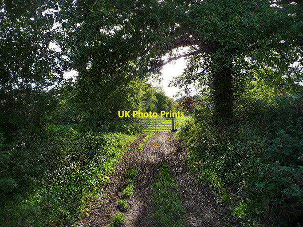 Photo 6"x4" Hangers Way Footpath Oakhanger\/SU7635 c2010