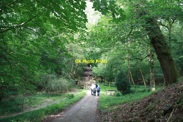 Photo 6"x4" Path from St John the Baptist's church, Okewood Mayes Green c2011