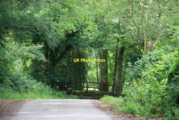 Photo 6"x4" Road from St John the Baptist's Church Okewood Mayes Green c2011